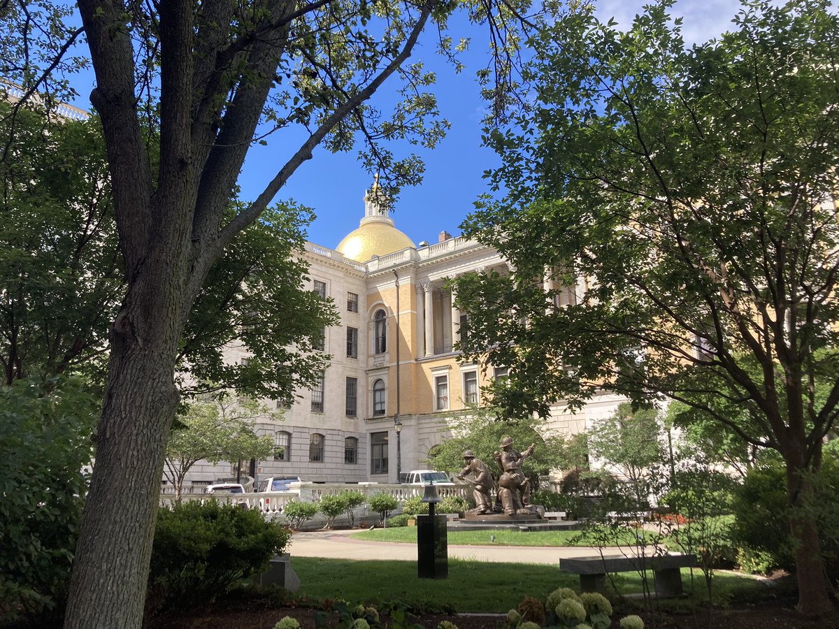 Katie Lannan tweet media