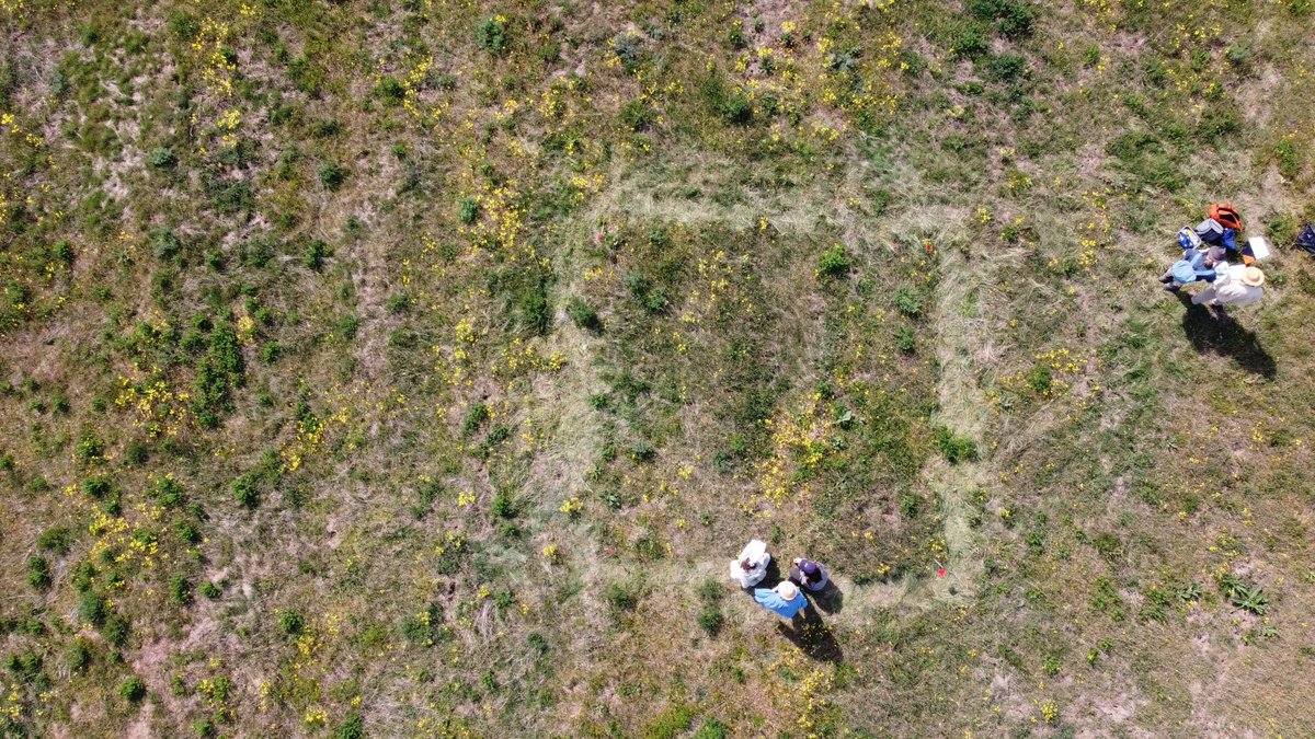 Computational Landscape Ecology tweet media