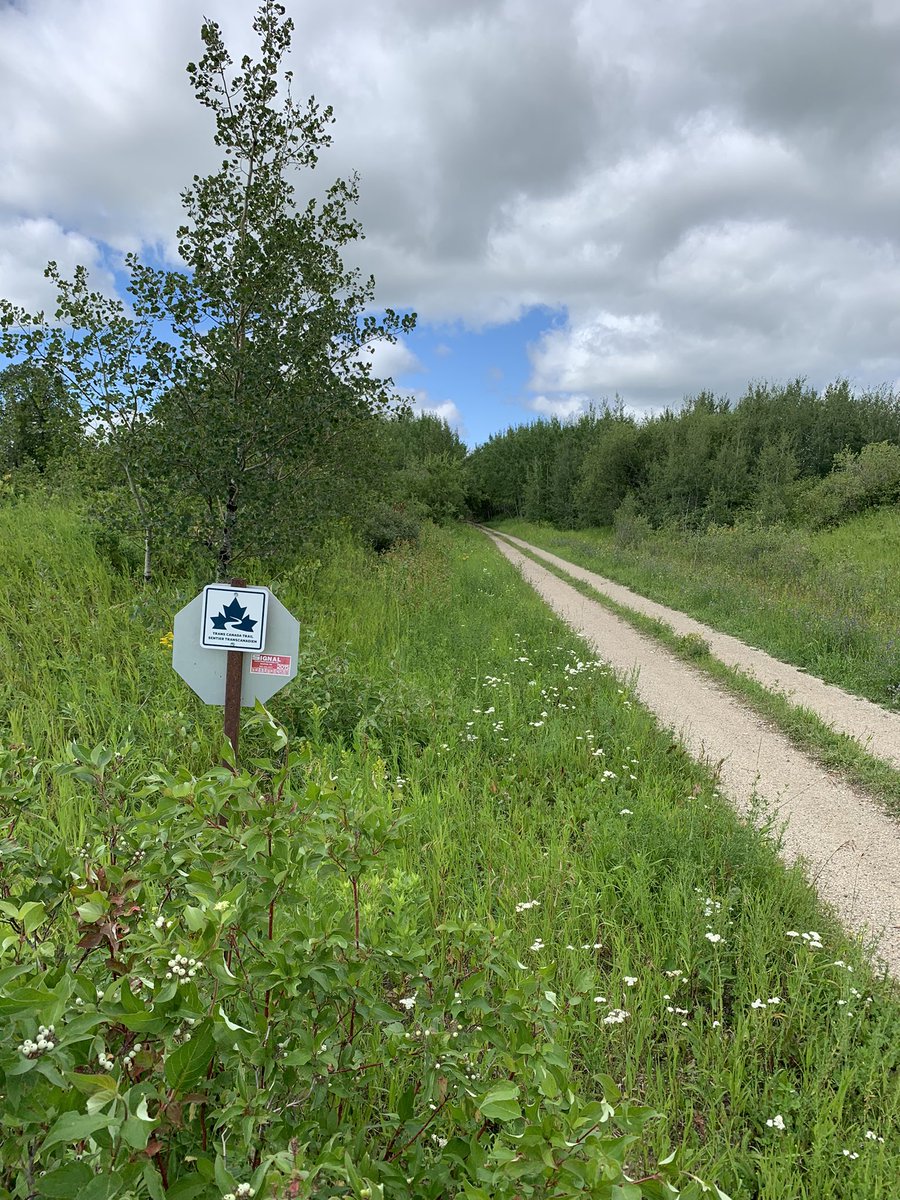 David Van Dam tweet media