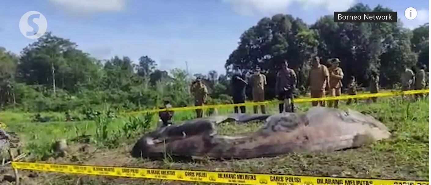 [Image: FZFNC45XwAA-a54?format=jpg&name=large]