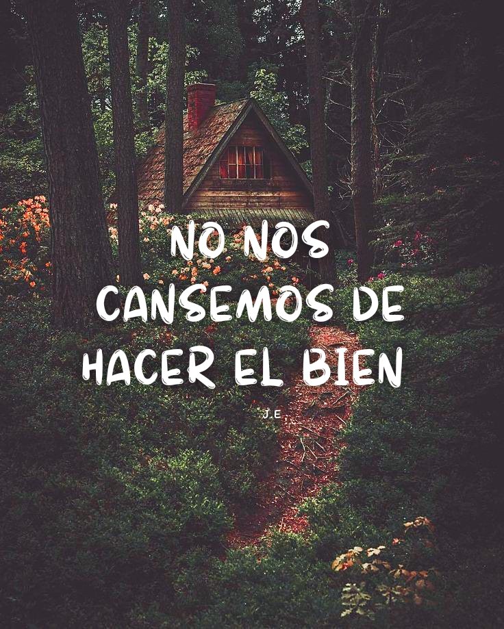 JEmbajdores's tweet photo. No nos cansemos de hacer el bien, porque a su debido tiempo cosecharemos si no nos damos por vencidos. Gálatas 6:9✨ #hagamosviralajesus #Diostebendiga #Diosesfiel #Jesusteama #jovenescristianos https://t.co/4AcaEtBmuL