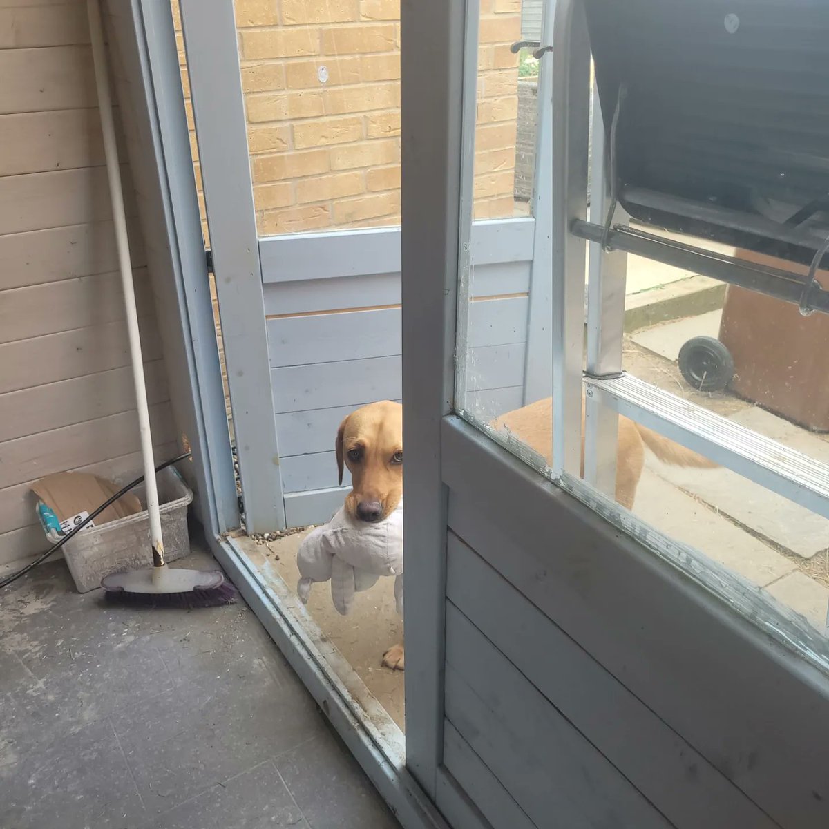 Today I was really brave. I fired my new kiln for the first time ever, despite getting it back in March! Now just watching over it as it ticks up in temp slowly. Sansa is waiting very patiently as she knows she's not allowed in here with the kiln! #pottery #newtoy #teacherholiday