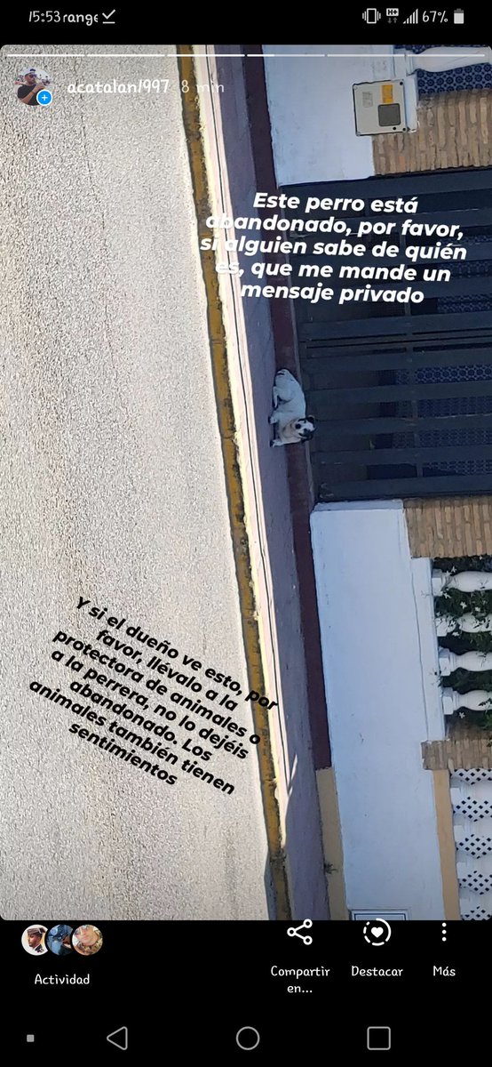 acatalan1997's tweet photo. Matalscañas, Huelva, por la zona de Colina Blanca. Necesito hacerlo viral. Este perrito lleva como 2 o 3 semanas vagando por las calles de Matalascañas, y necesito hacérselo llegar a alguien que pueda hacerse cargo del perrete, o hacérselo llegar al dueño, si fuese posible (sigo) https://t.co/80QYZkpc1T