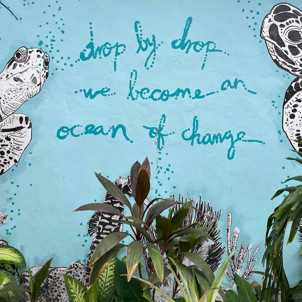 DarbysFlorist's tweet photo. Be the change you want to see https://t.co/XtGbvUvnBp