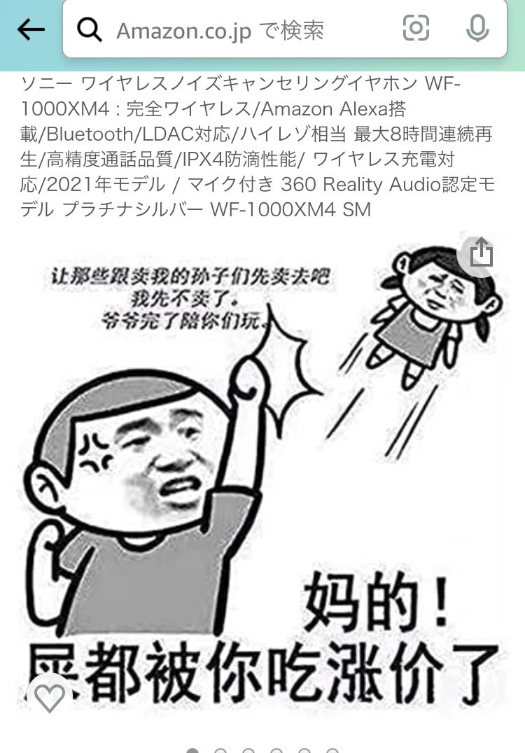 ソニーのイヤホンをAmazonで検索しただけなんじゃが。何これ? 