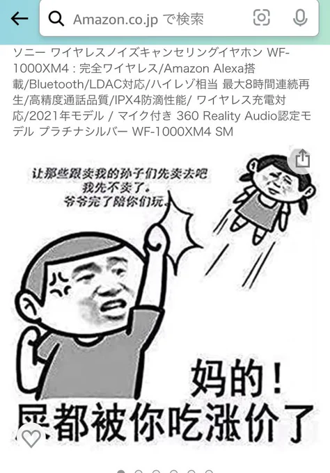 ソニーのイヤホンをAmazonで検索しただけなんじゃが。何これ? 