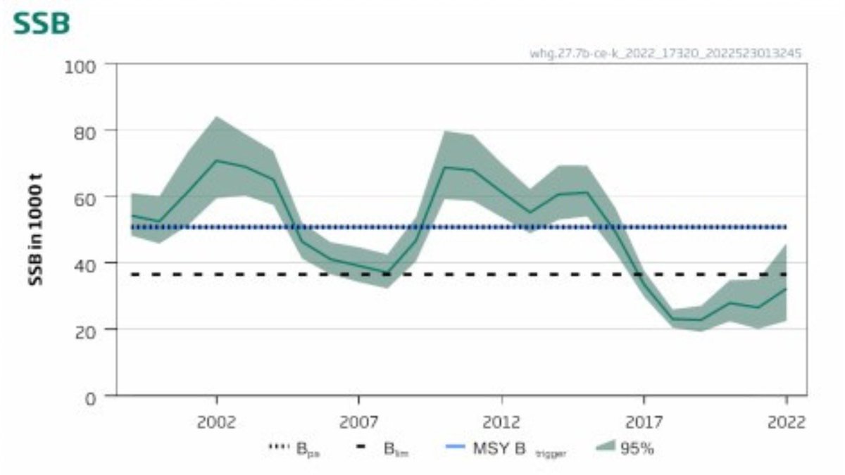 OceanaEurope's tweet photo. No doubt about it #CelticSea whiting abundance is at critically low levels.
But, thanks to a conscious reduction in #fishing and unlike other severely #overexploited #fish #stocks, since 2019 this population has started to show signs of recovery. https://t.co/JCACZqYHQi