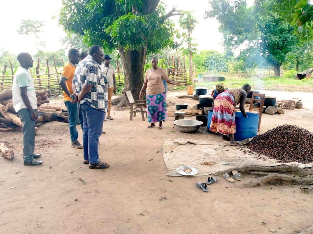 Enabel_en_RCA's tweet photo. Notre Prog. #DevrurII a entamé depuis le 20/07/2022, l'identification des filières porteuses Agro-Sylvo-Pastorales, dans les 6 agropoles, en collaboration avec @MadrRca les acteurs locaux,  et les Centres de formation. @GouvCF  #FondsBêkou @EUPartnership  @UEenRCA #agriculture https://t.co/OysU2Ry8sd