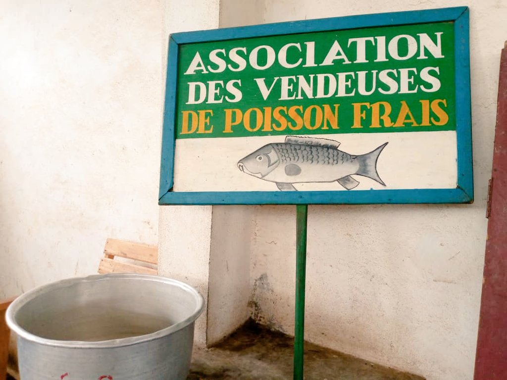 Enabel_en_RCA's tweet photo. Notre Prog. #DevrurII a entamé depuis le 20/07/2022, l'identification des filières porteuses Agro-Sylvo-Pastorales, dans les 6 agropoles, en collaboration avec @MadrRca les acteurs locaux,  et les Centres de formation. @GouvCF  #FondsBêkou @EUPartnership  @UEenRCA #agriculture https://t.co/OysU2Ry8sd