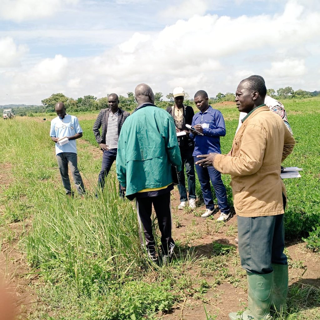 Enabel_en_RCA's tweet photo. Notre Prog. #DevrurII a entamé depuis le 20/07/2022, l'identification des filières porteuses Agro-Sylvo-Pastorales, dans les 6 agropoles, en collaboration avec @MadrRca les acteurs locaux,  et les Centres de formation. @GouvCF  #FondsBêkou @EUPartnership  @UEenRCA #agriculture https://t.co/OysU2Ry8sd