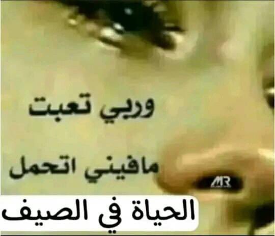 🇵🇸جمعية الرفق بالحيوان (@nayfagrad) on Twitter photo 