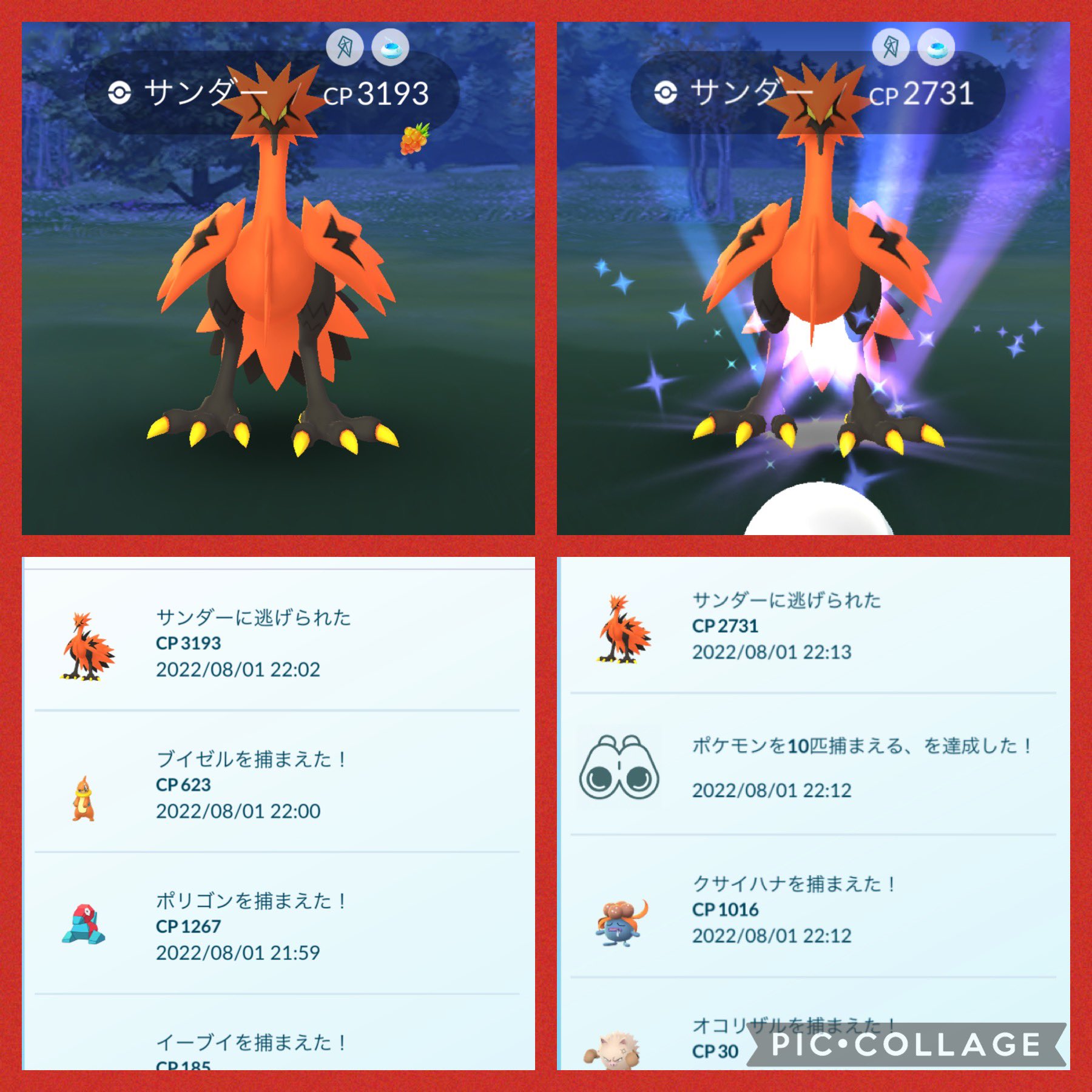 Spiritofokinawa ガラルサンダーに逃げられる Pokemon Pokemongo ポケモン ポケモンgo Niantic T Co Tlldr5n2no Twitter