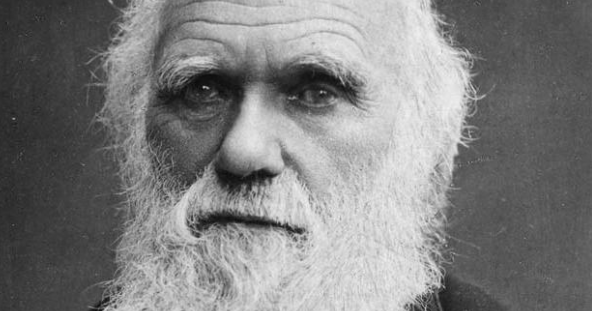 🗓️1 de julio de 1858. Charles Darwin y Alfred Russel Wallace presentan la comunicación que establece los principios de la teoría de la evolución mediante la selección natural.
#Efemerides #Ciencia #evolución