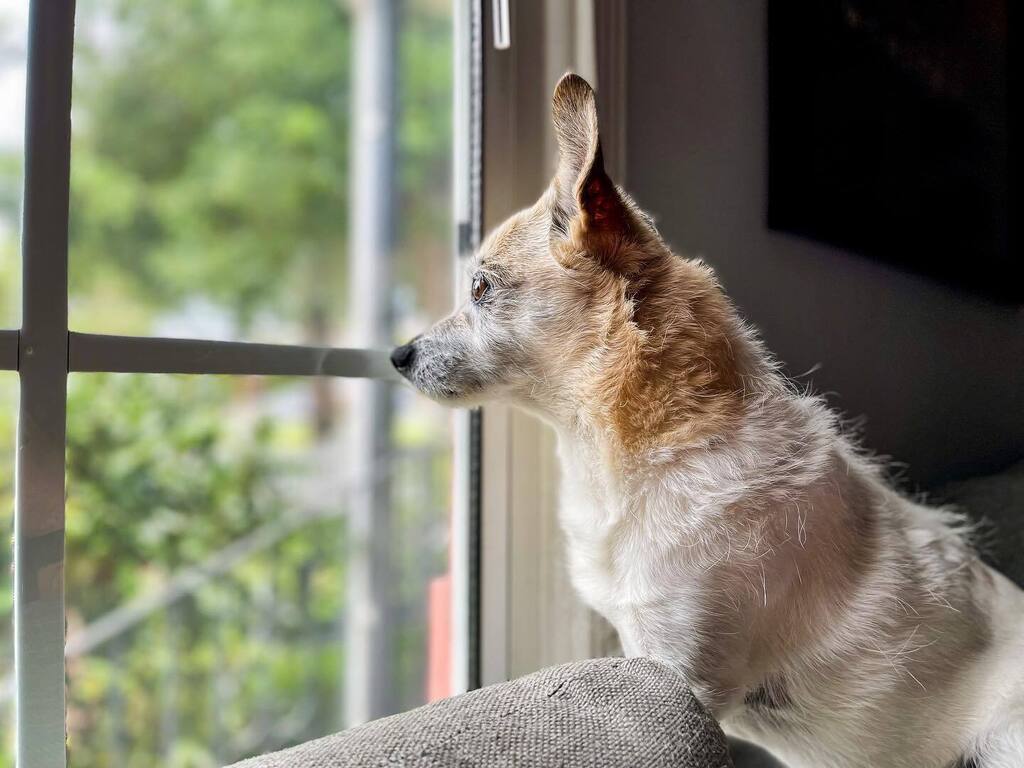 the_jlp's tweet photo. Where did the weekend go? https://t.co/supX1kPGBQ https://t.co/NAJcMIdT4Q