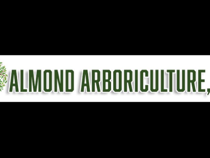 arboralmond's tweet photo. Storm damage trees can be a hassle, let us help you with prevention and clean up. #treetrimming #treepruning #landscaping #bedfordva #smithmountainlake #lynchburgva #forestva https://t.co/an4FgfepK0