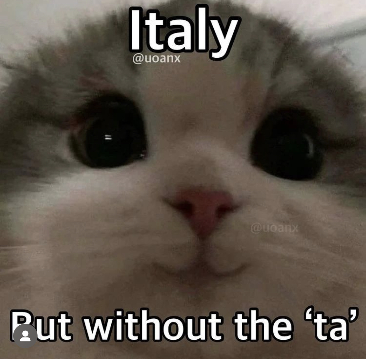 Respectful Memes (@respectfulmemes) on Twitter photo 