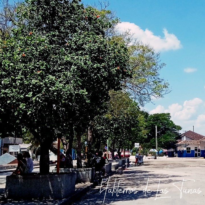 HTunas89's tweet image. Terminal, Las Tunas
Follow IG hablemos.lastunas

#photo #LasTunas #Cuba