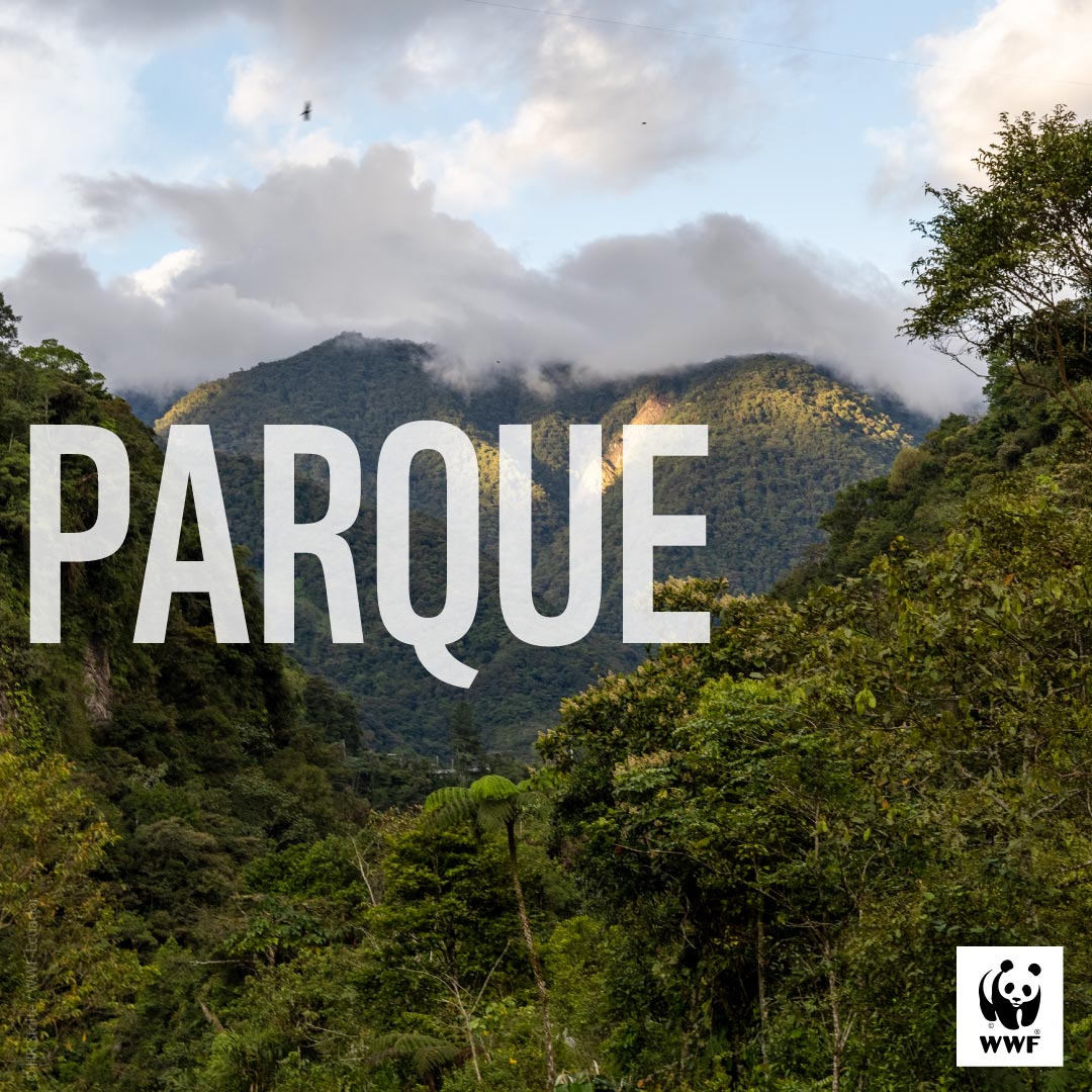 WWF Ecuador tweet media