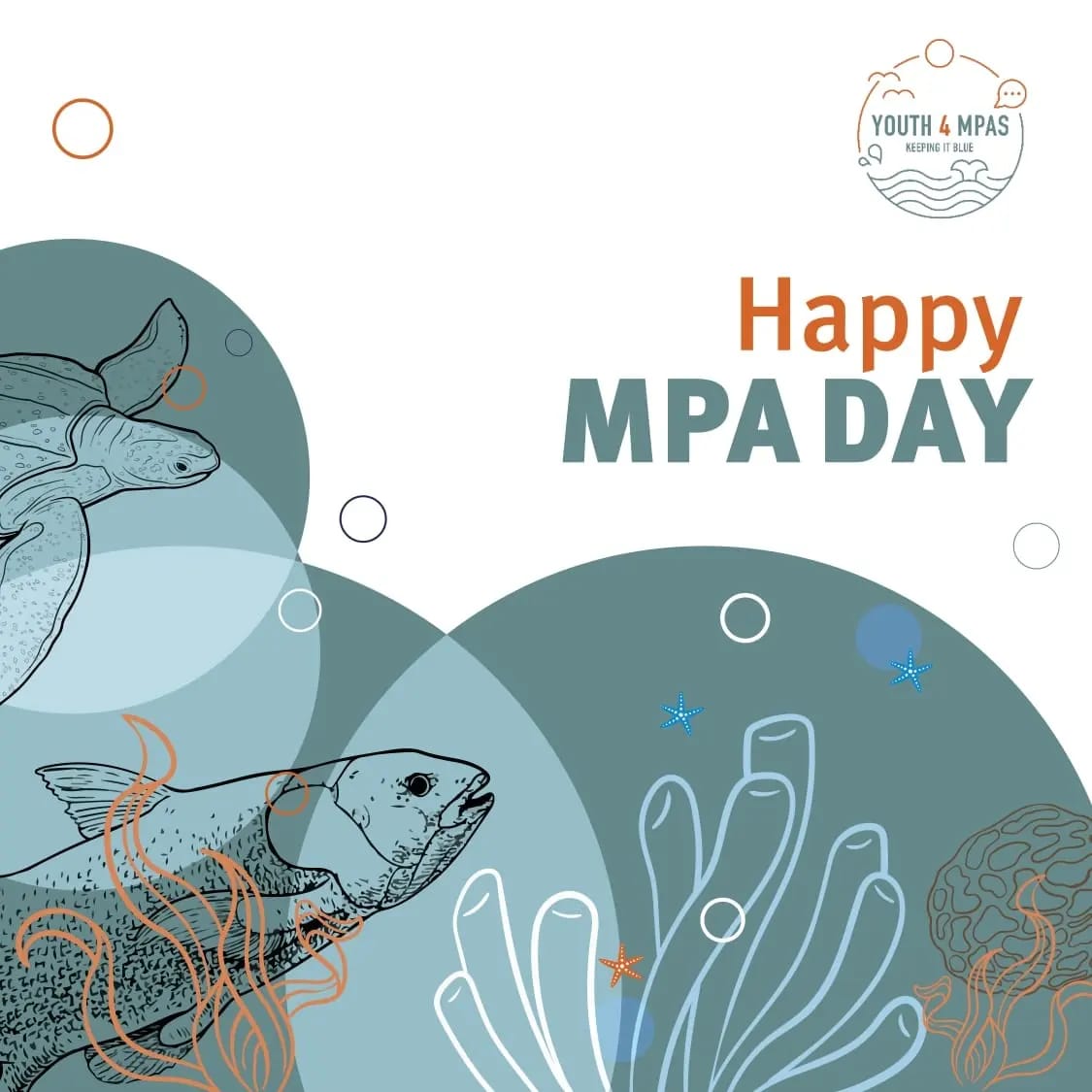 Youth4MPAs tweet media