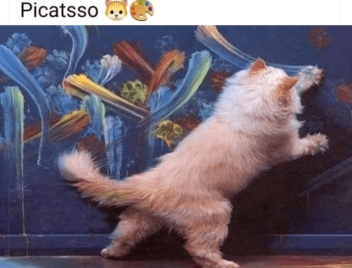 WholesomeMeme's tweet photo. https://t.co/WewnsuYtLl