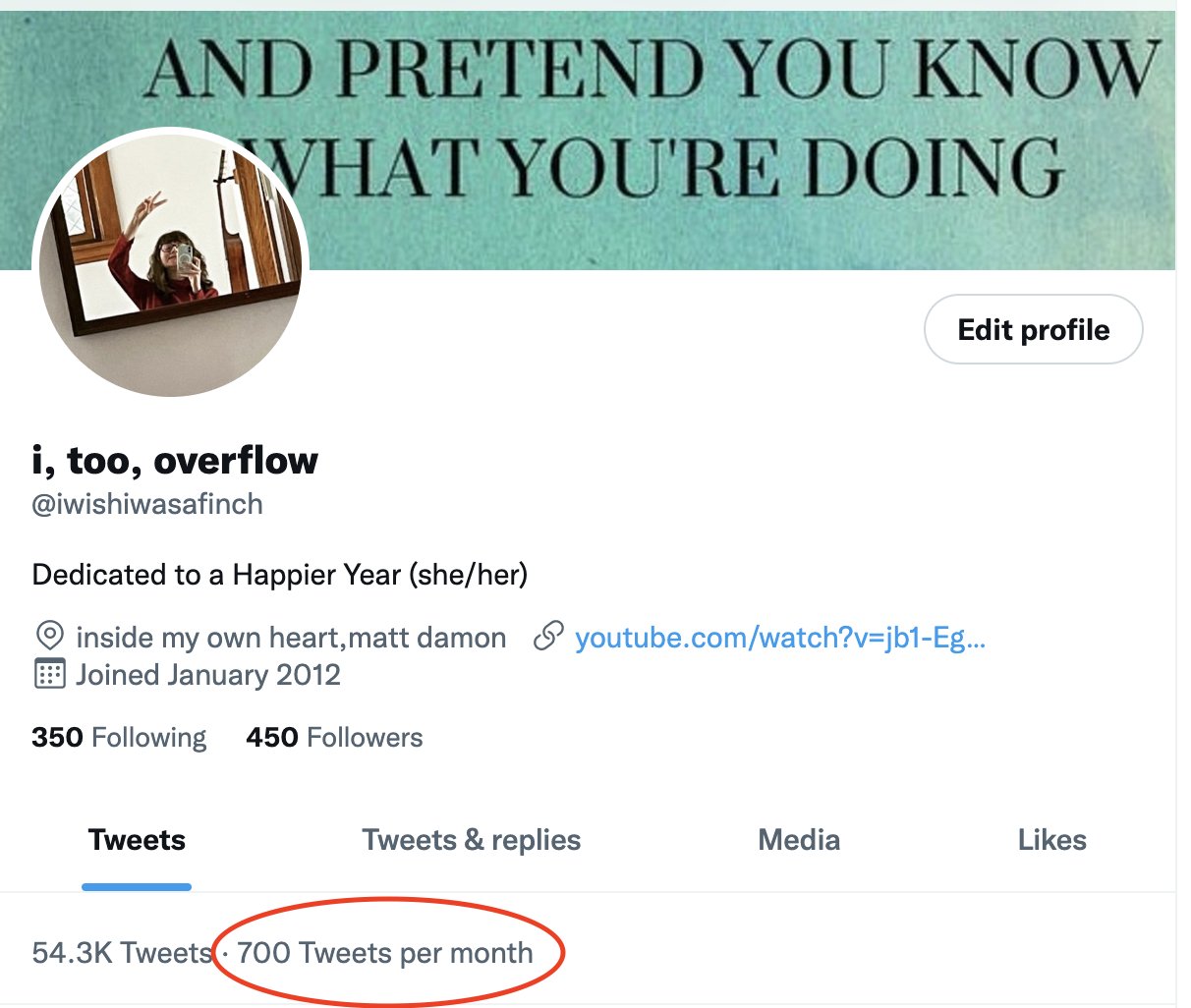 i, too, overflow on Twitter: 