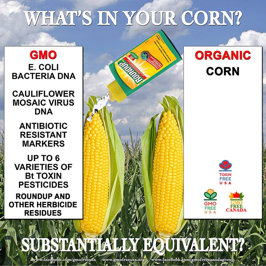 Gmo Corn Quotes