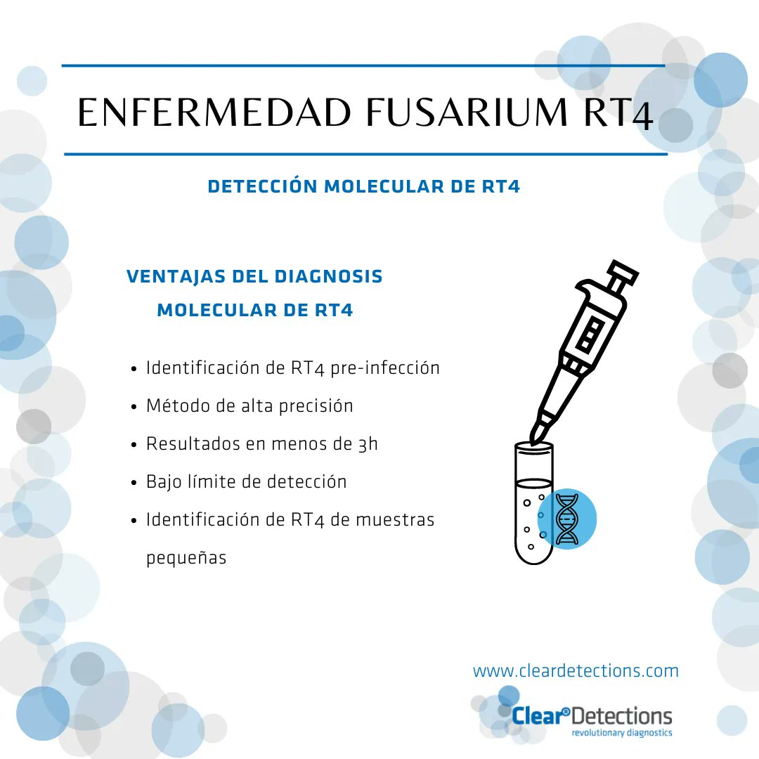 ClearDetection1's tweet photo. (4/n) El diagnóstico #molecular es la alternativa al método tradicional de detección de Fusarium RT4. Su principal ventaja es que permite la identificación de Fusarium en tus plantas de banano antes de la infección. 
¿Eres partidario/a del diagnóstico molecular? https://t.co/aXQ9X9JNPc