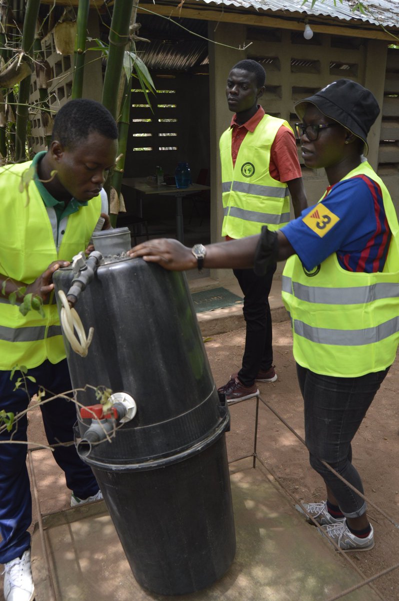 OGREEN TOGO tweet media