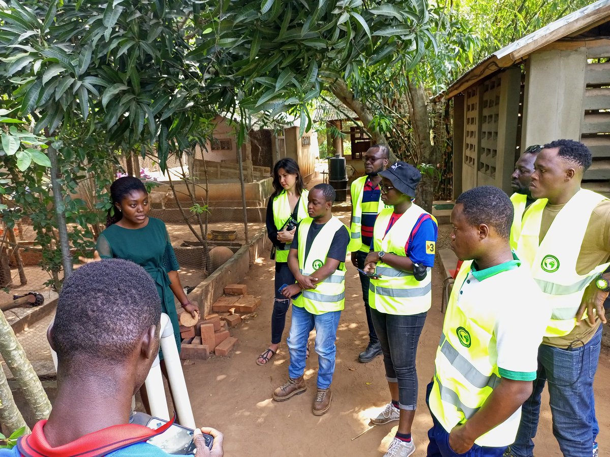 OGREEN TOGO tweet media