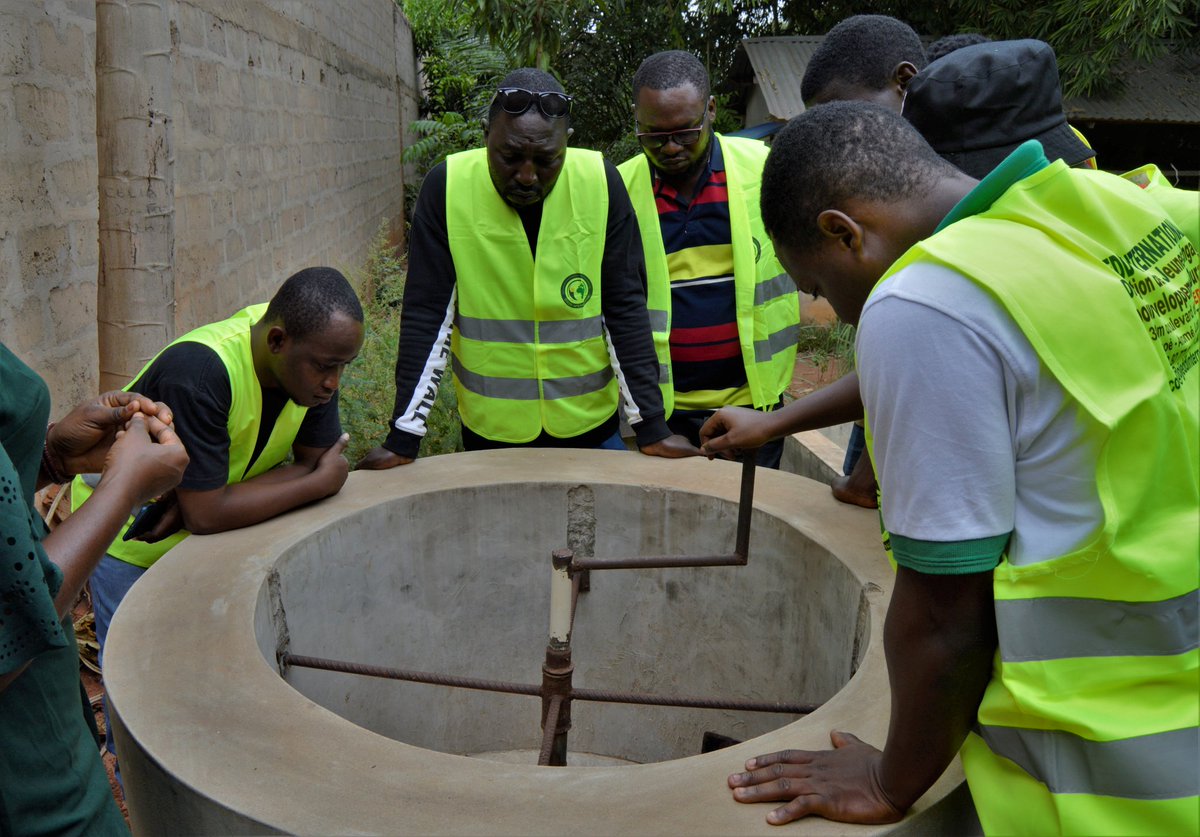 OGREEN TOGO tweet media