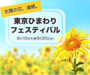 tobimaru_design's tweet image. 昨日と今日でDAY12〜DAY 14までやりました！！
初めて１からバナーを作ってみたけど、難しい...
いろんなバナーとかを参考にして、レイアウトとか勉強していきたいな
#デイトラ 
#webデザイン勉強中