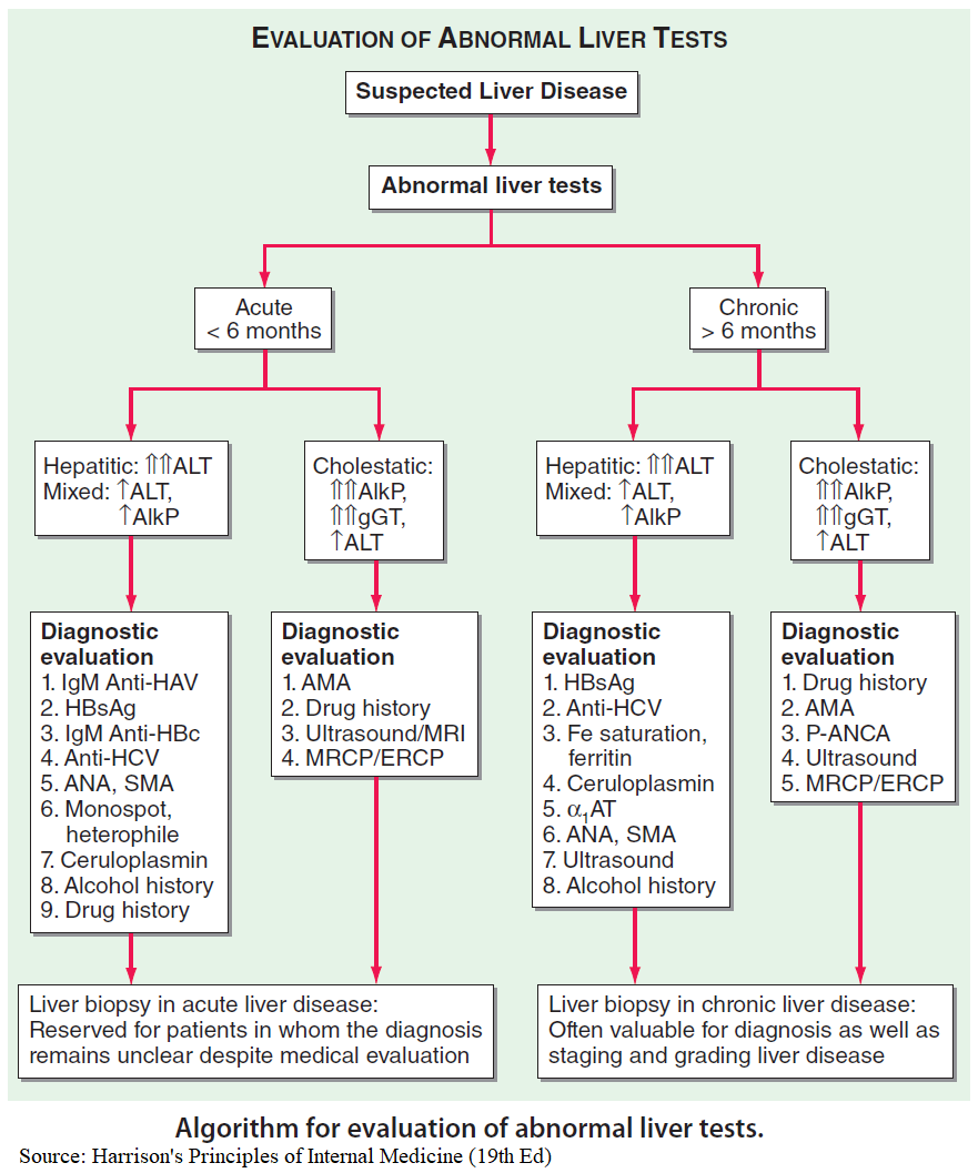 manual-of-medicine-on-twitter-algorithm-for-evaluation-of-abnormal