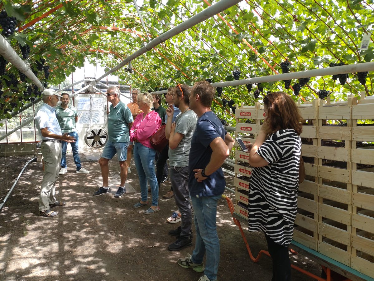 Bakkie fietsen! Afgelopen week hebben we Westlandse groenten en fruit bij elkaar gefietst tijdens het teamuitje.  Het was leuk en leerzaam om bij een aantal andere tuinders tekst en uitleg te krijgen over hun teelt. #glastuinbouw #gezond #sportief #westland