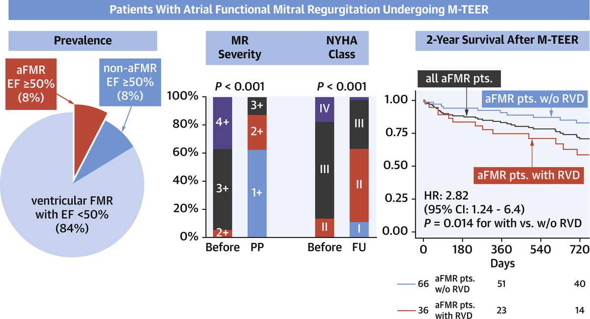 M-TEER for atrial functional #mitralvalve regurgitation (FMR)? Atrial FMR is a frequent cause of FMR &amp; can be effectively treated w/ #MTEER. Check out the new results from EuroSMR registry: bit.ly/3oI9Us3

#JACCIMG #cvImaging #MitraClip #CardioTwitter #echofirst #vhdMR