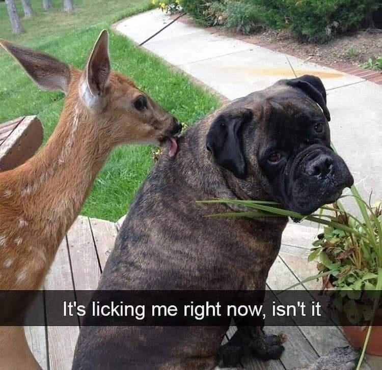 WholesomeMeme's tweet photo. https://t.co/EN2fF88i8c