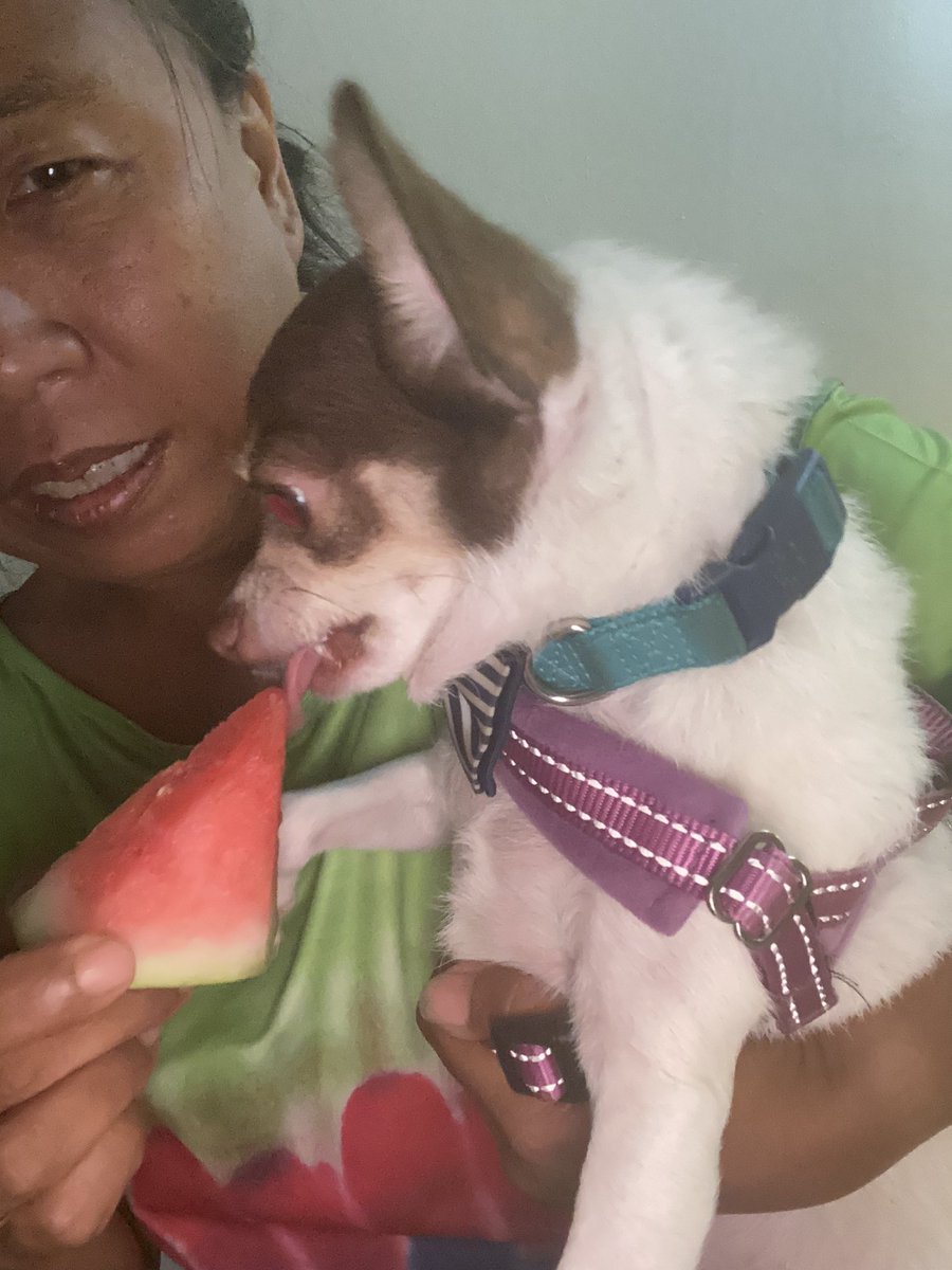 My watermelon treat yummy