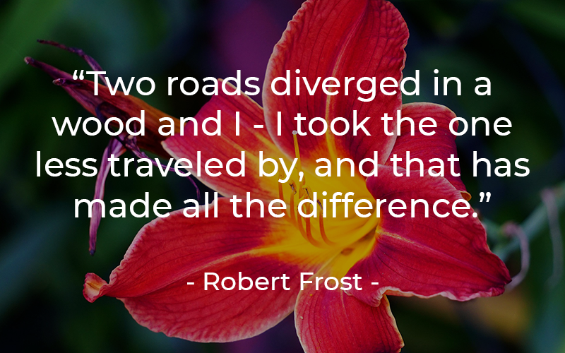 YMCA Blue Water Area tweet media