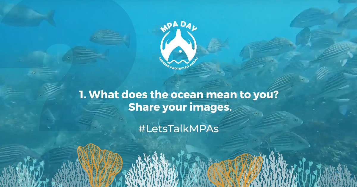 Q1 #letsTalkMPAs

What does the Ocean mean to you? Share your images.

#MPADay