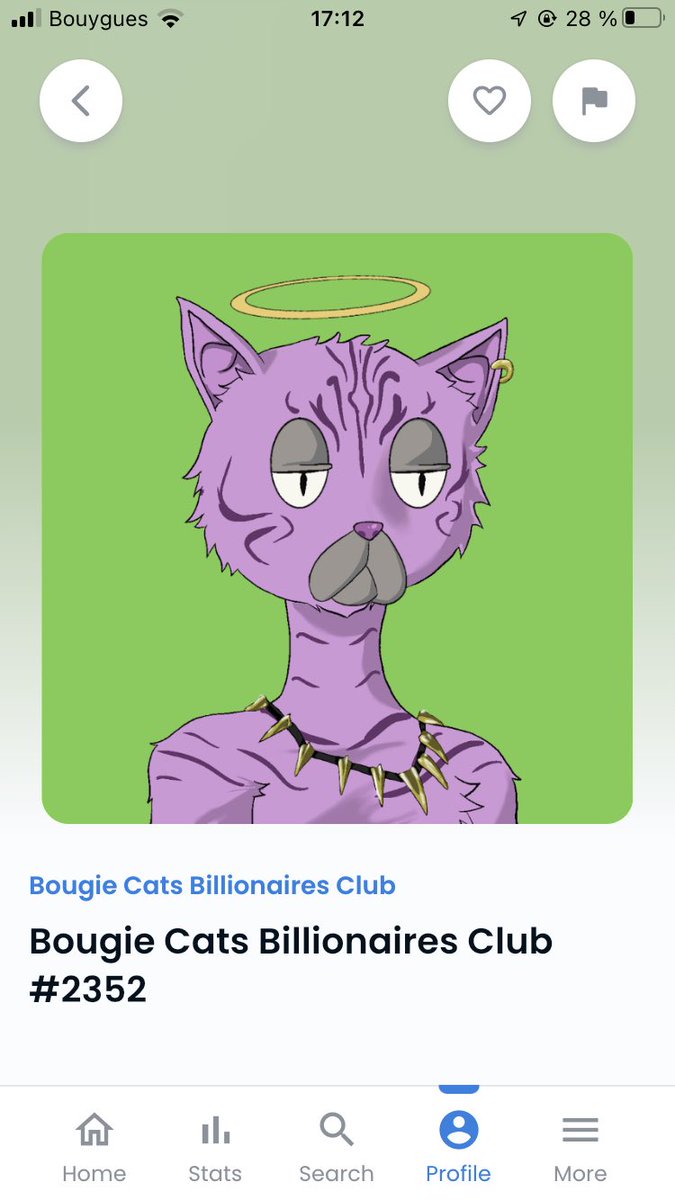 Bougie Cats Billionaire's Club (@BougieCats) / Twitter