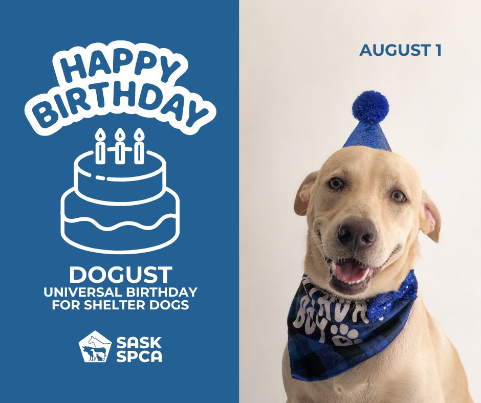 SaskSPCA's tweet photo. It’s #DOGUST, the universal birthday for shelter dogs. Here in #Sask, we have 15 SPCAs and humane societies with shelters. There could be a lot of celebrating happening today!
Check out your local shelter and you might find your new BFF!
#SaskSPCA #adoptdontshop #saskpets https://t.co/lOD7wRZwKz
