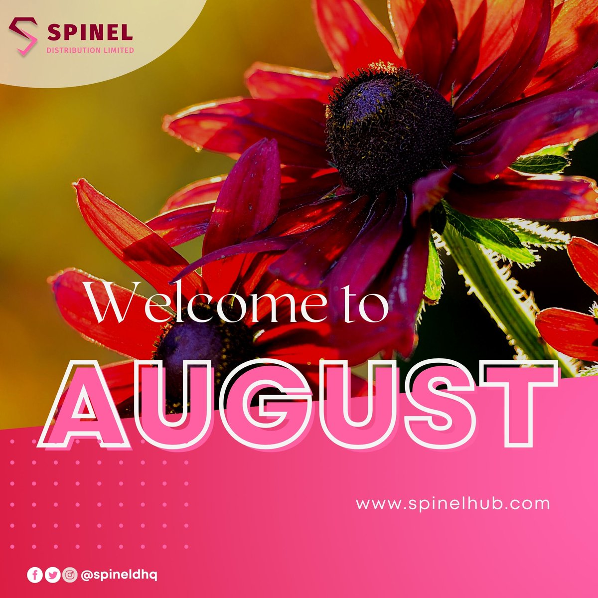 SpinelDistrLtd's tweet photo. Here's to wishing you a month filled with joy, happiness, opportunities, blessing and merriment! https://t.co/79xJeBOV94