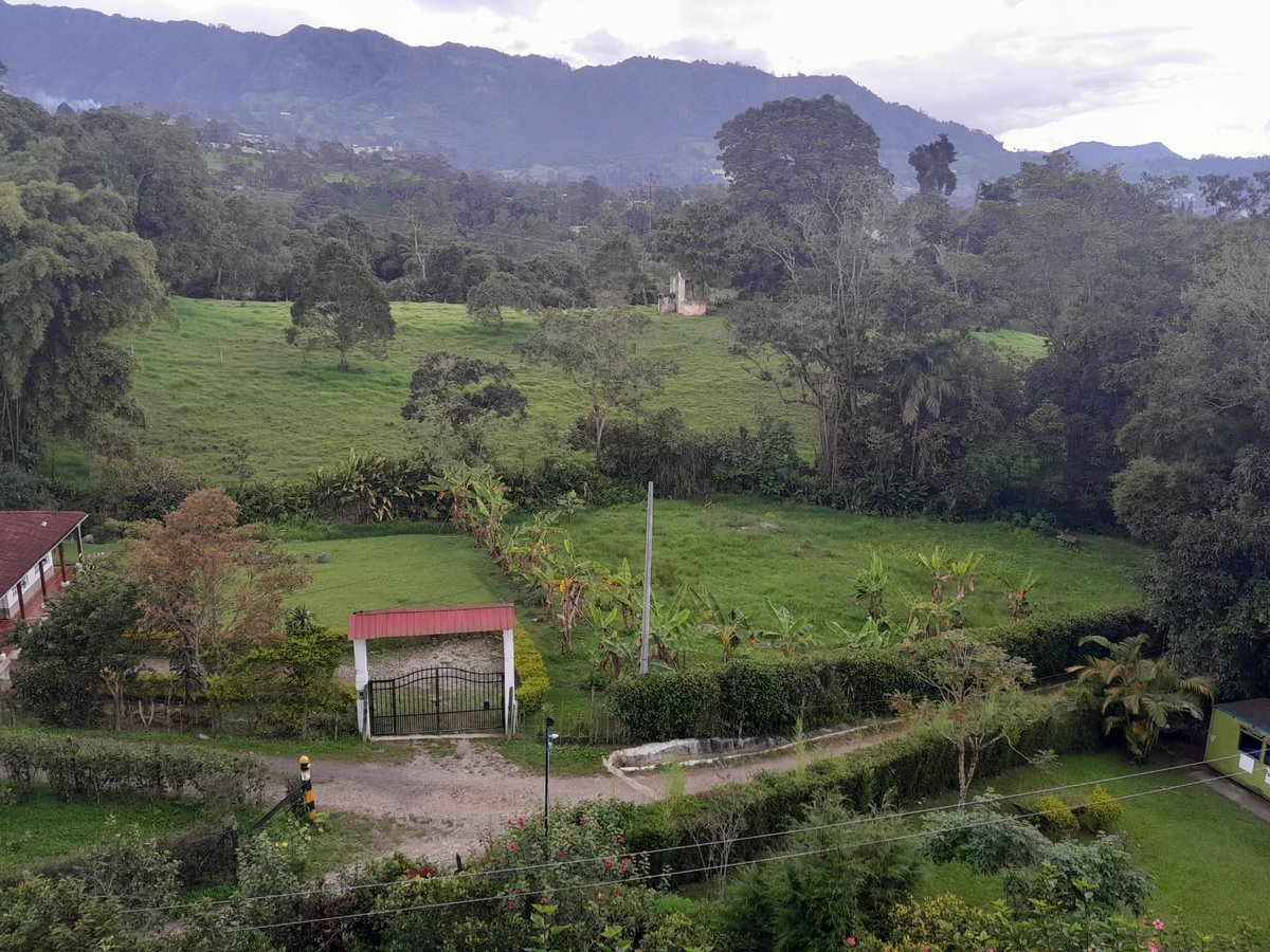 Mrs. Estrada tweet media