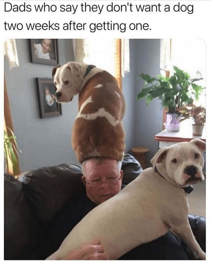 WholesomeMeme's tweet photo. https://t.co/ffND4JVXS9