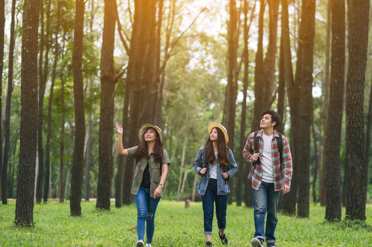 HungryPests's tweet image. This Tree Check Month help us protect  trees in your community from #invasivespecies like the Asian longhorned beetle, which can kill trees from the inside. Learn how to spot and report their damage here: aphis.usda.gov/aphis/resource… #ALB #TreeCheckMonth @StopALB