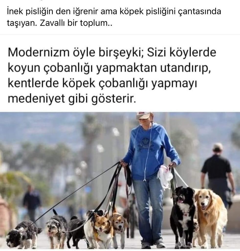 farukbeser's tweet photo. https://t.co/lTgWnkxDIk