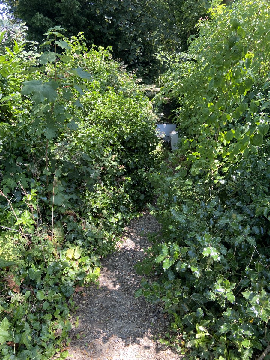 Put off walking locally (& use the 🚗 instead) due to overgrown, fly tipped cut-throughs? We heard about this unloved pedestrian link from Canal Rd under the railway in #Frizinghall .. help us give it a #GLOWUP? 📅11th August eventbrite.com/e/community-li… @BSTAlliance @bradfordmdc