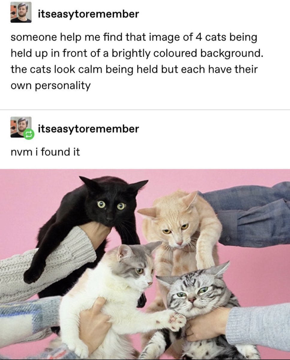 RespectfulMemes's tweet photo. https://t.co/ErJRMWapFS