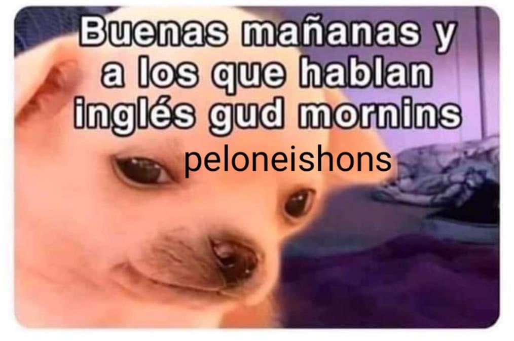 kesiperrito's tweet photo. https://t.co/sABoQ3J0SY