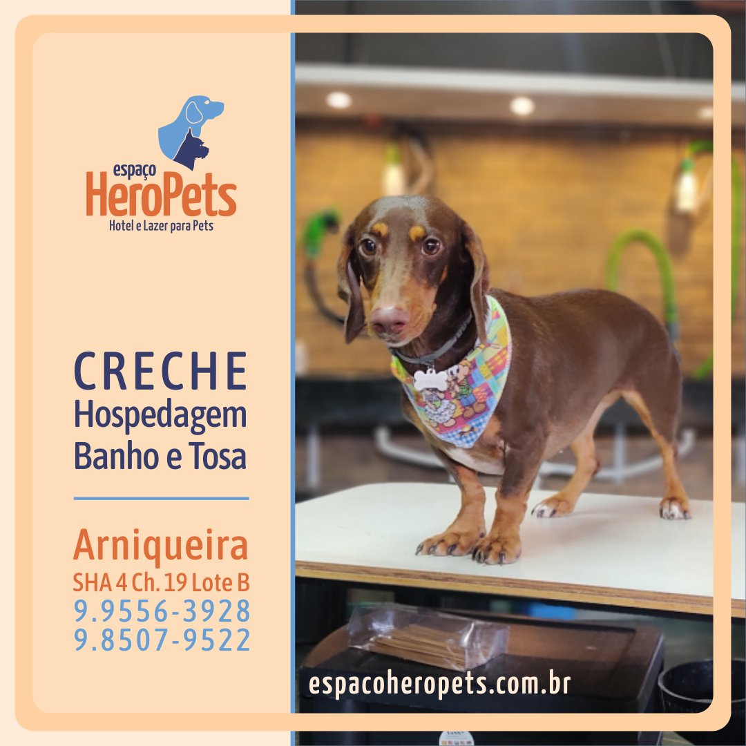 EspacoHeroPets's tweet image. Espaço para seu Pet 🐾 com estrutura para brincar e fazer amizade. Ou apenas para relaxar com um super banho. 🐶 Venha conhecer: EspacoHeroPets.com.br.