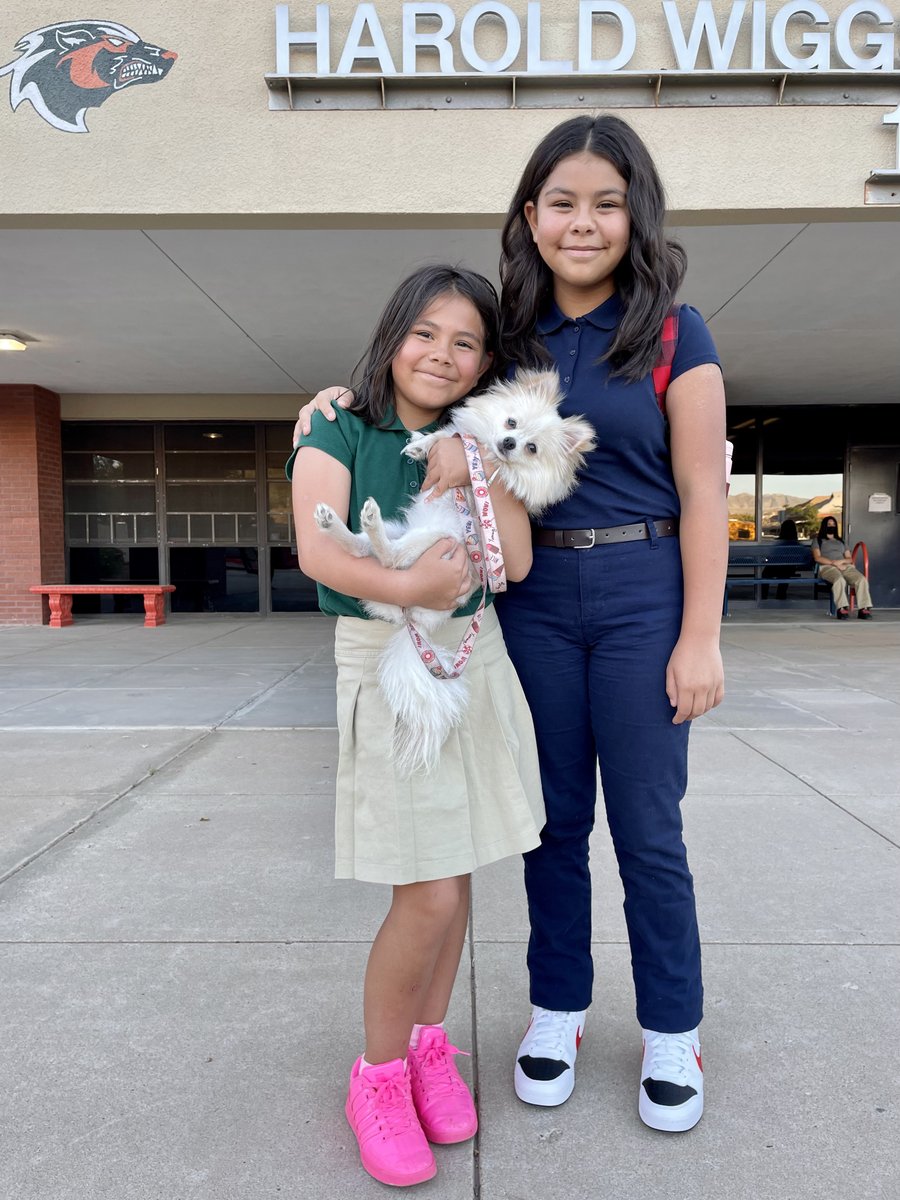 El Paso ISD tweet media